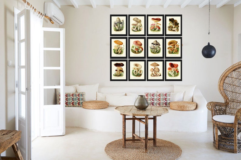 May include: A white living room with a white sofa and a wicker chair. There are 16 framed prints of different types of mushrooms on the wall. The prints are arranged in a grid pattern. There is a wooden coffee table in front of the sofa.