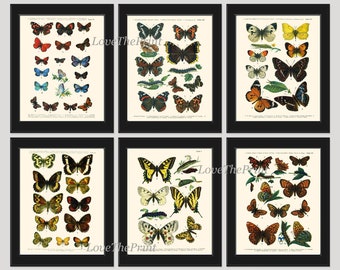 Mariposas vintage Impresiones Arte de pared Set de 6 hermosa ilustración antigua Imagen Acuarela Diseño de interiores Decoración de la habitación del hogar para enmarcar EURB