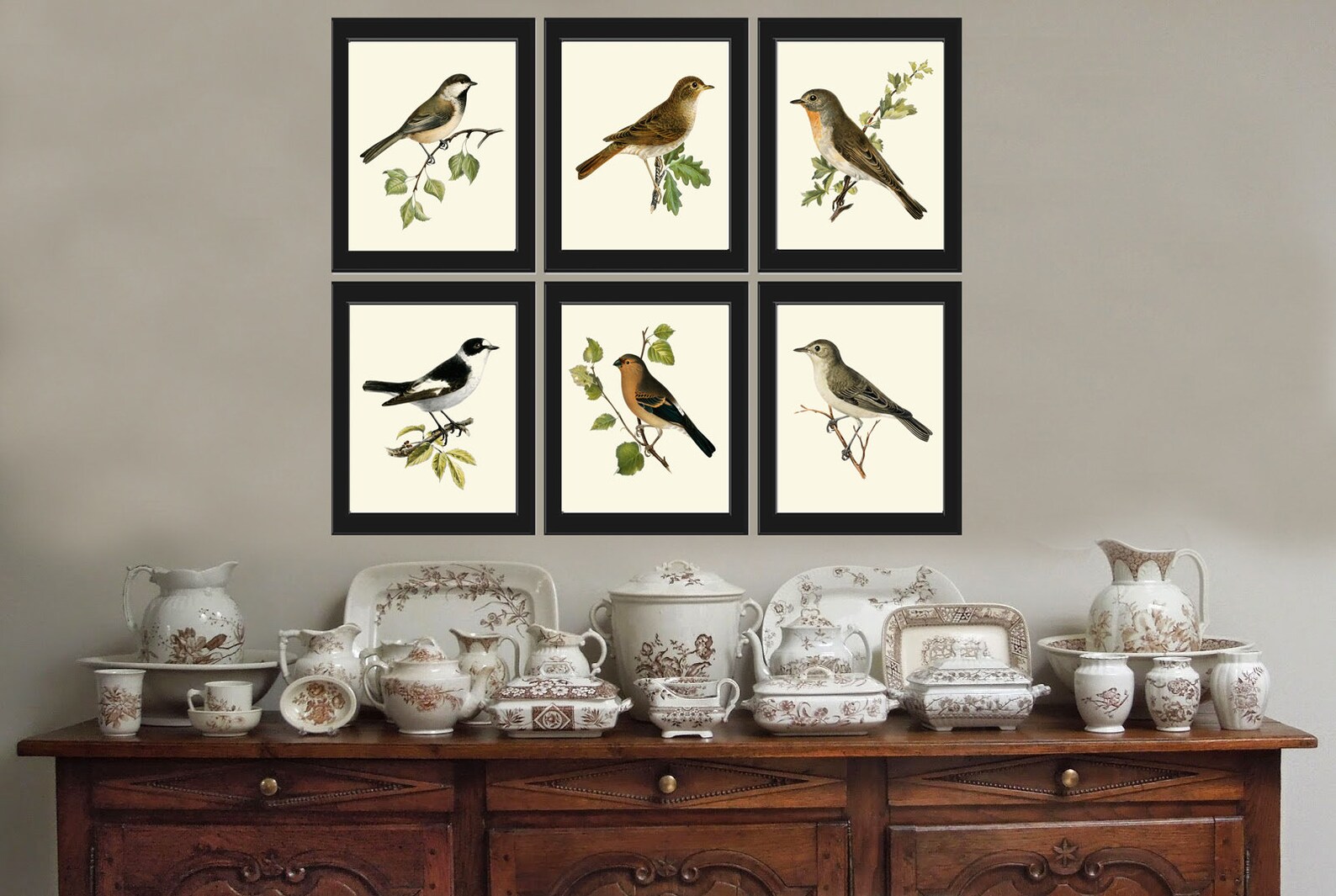 Vintage Antique Birds Wall Art Print Set of 6 Prints Birdwatching Bird ...