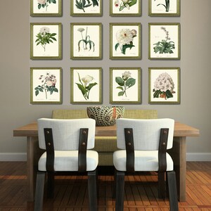 White Flower Botanical Prints Wall Art Set of 12 Beautiful Antique ...