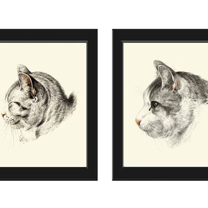 Cat Pet Portrait Wall Art Print Set of 2 Prints Beautiful Antique Vintage Kitty Kitten Animal Drawing Illustration Home Decor to Frame JB