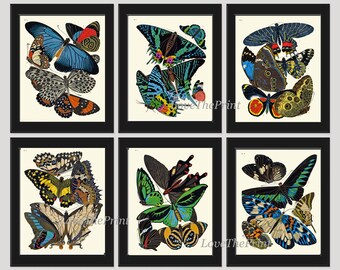 Mariposas Impresiones Juego de arte de pared de 6 hermosa antigüedad Vintage Azul amarillo verde Mariposa Ilustración Imagen Decoración del hogar para enmarcar SCHA