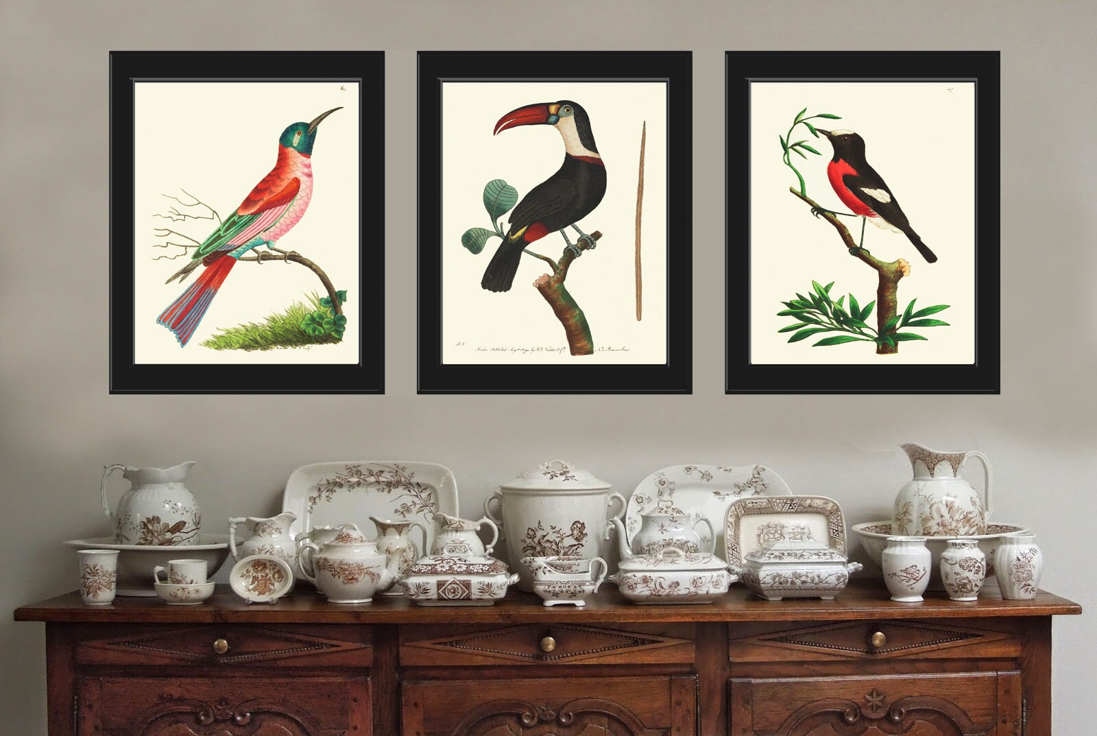 Birds Wall Art Prints Set of 3 Beautiful Vintage Antique Red Green ...