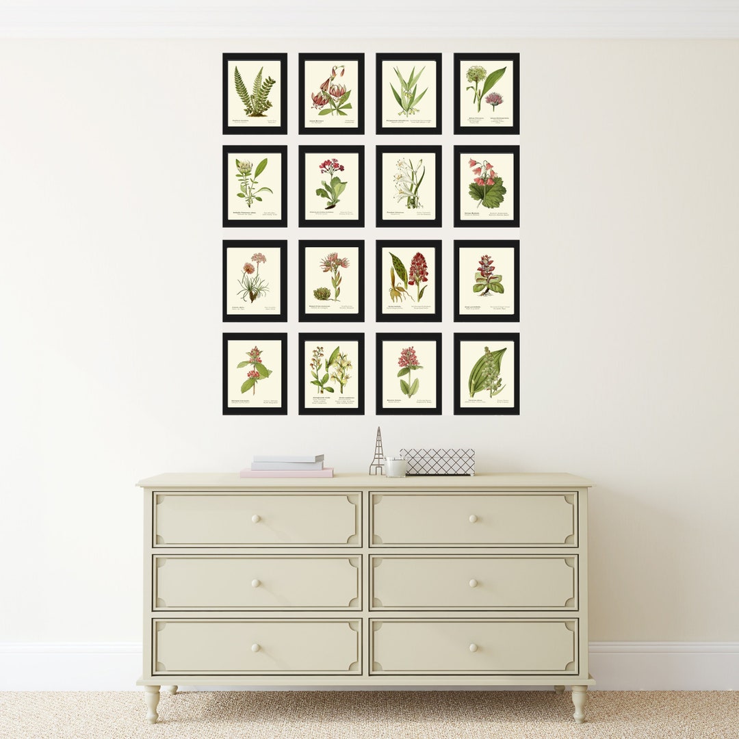 Botanical Wall Art Home Decor Set of 16 Prints Beautiful Vintage Pink ...