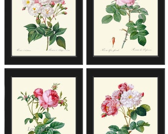 Botanical Print Set French Roses Wall Art Decor Set of 4 Prints Beautiful Antique Vintage White Pink Flowers Garden Home Decor to Frame LRR