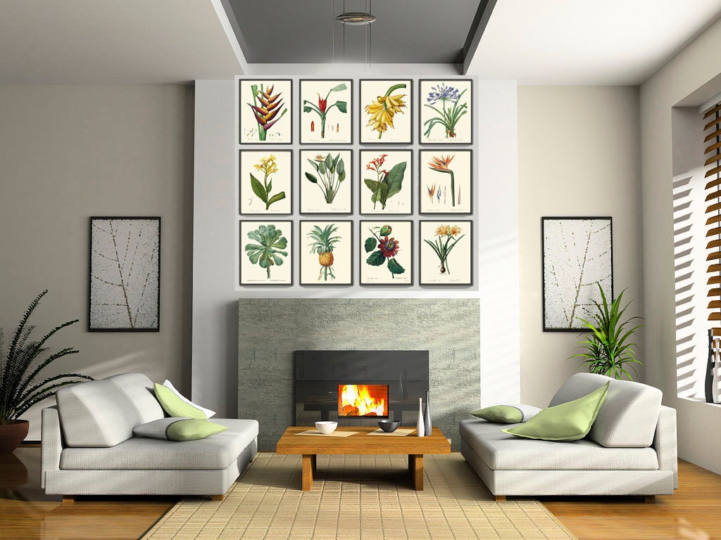 Tropical Botanical Wall Decor Art Set of 12 Prints Beautiful Antique ...