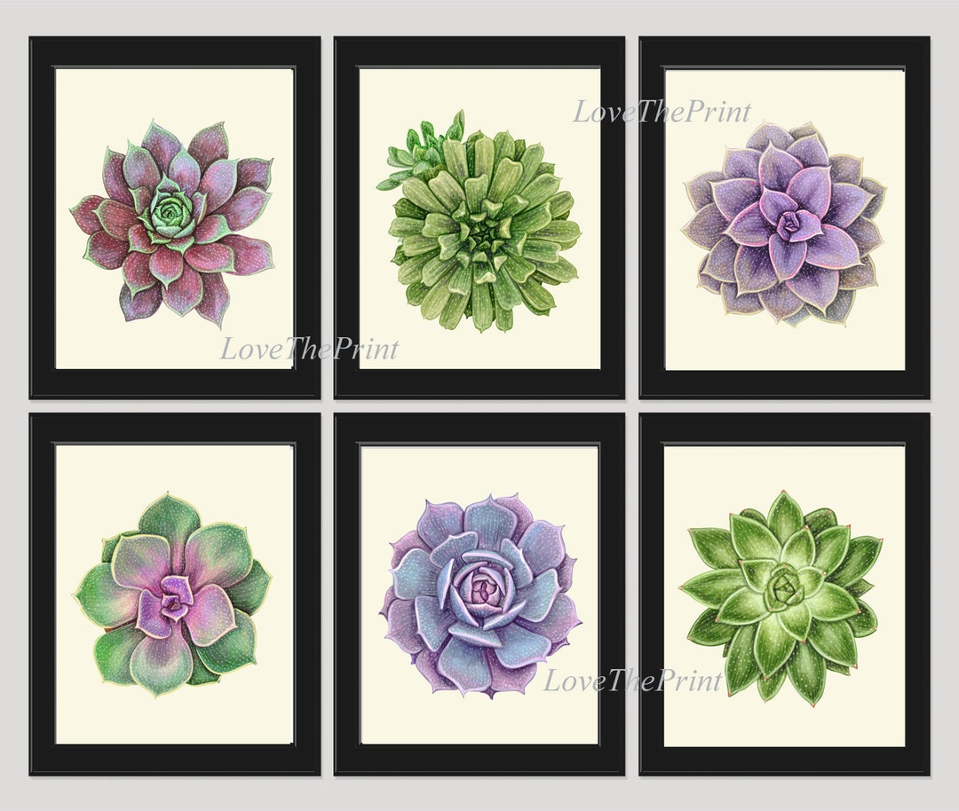 Succulents Plants Prints Wall Art Home Decor Set of 6 Beautiful ...