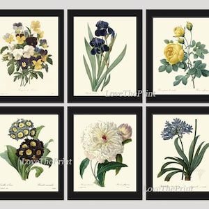 Botanical Wall Decor Art Set of 6 Prints Beautiful Vintage Antique Blue White Yellow Peony Iris Rose Flowers Garden Home Decor to Frame REDT