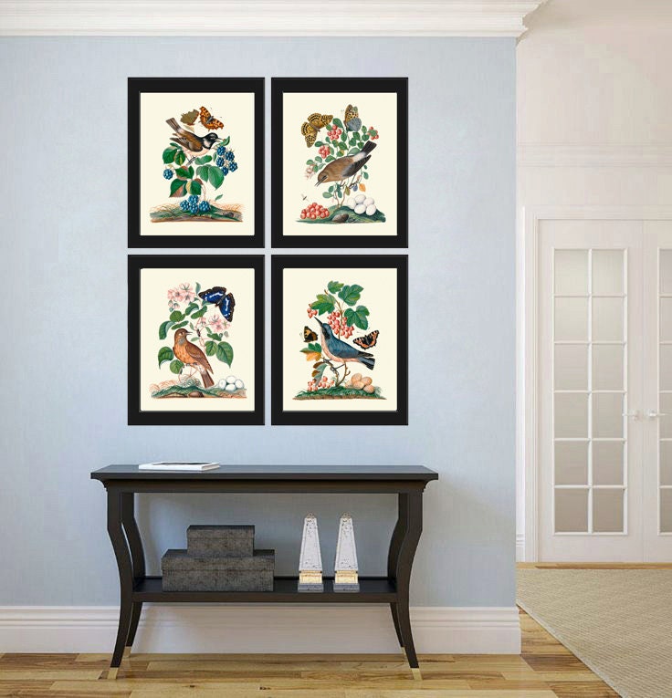 Vintage Bird Wall Art Set of 4 Prints Beautiful Antique Pretty Red Blue ...