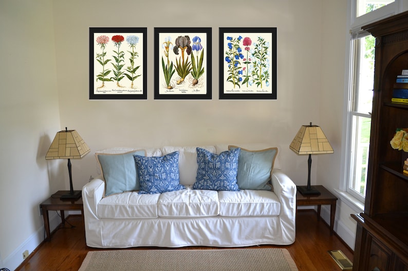 Botanical Wall Art Set of 3 Prints Beautiful Antique Vintage Pink Blue ...