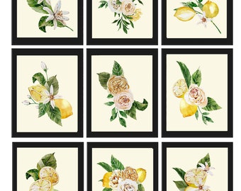 Puede incluir: Nueve ilustraciones de acuarela enmarcadas con limones, flores de limonero y rosas. Las ilustraciones están sobre un fondo crema y tienen marcos negros.