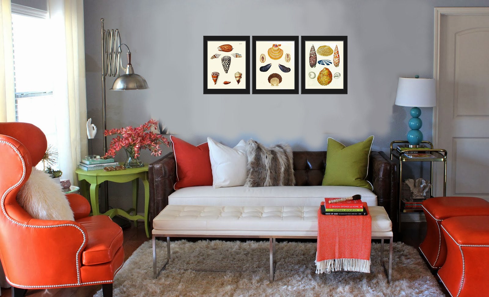 Vintage Seashell Shells Wall Art Set of 3 Prints Beautiful Antique Sea ...
