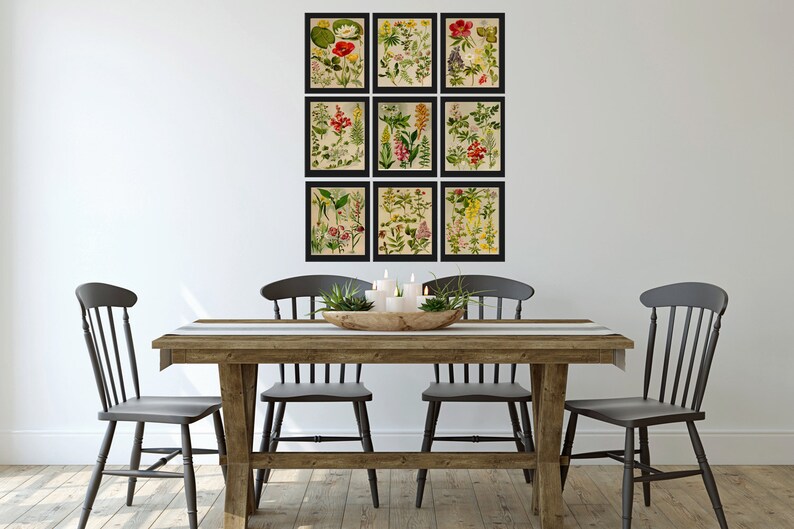 Wildflower Botanical Prints Wall Art Set of 9 Beautiful Antique Vintage