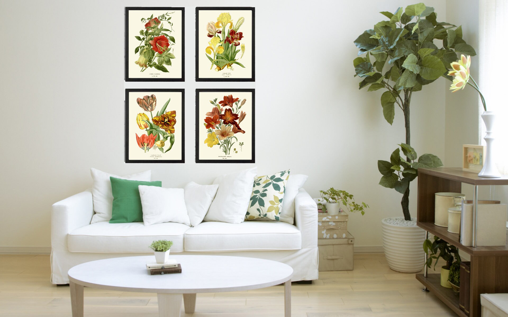 Botanical Print Set of 4 Prints Tulip Lily Iris Beautiful Antique Wall ...
