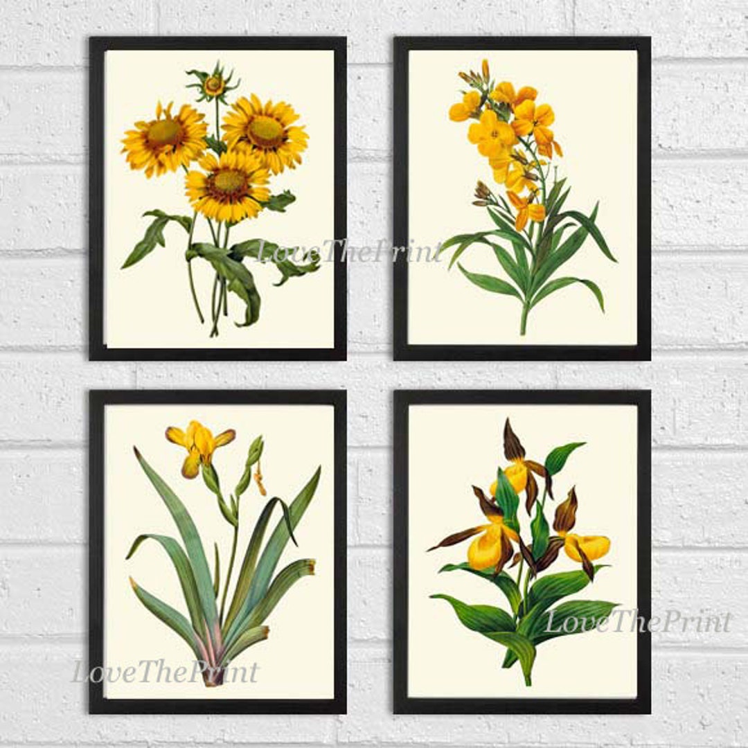 Yellow Flowers Botanical Wall Art Set of 4 Prints Beautiful Antique ...