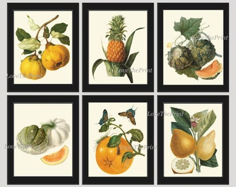 Fruit Wall Decor Prints Art Set 6 Beautiful Botanical Colorful Tropical Kitchen Dining Room Pear Pineapple Melon Orange Lemon to Frame LF