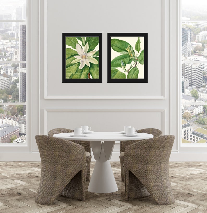White Blooming Magnolia Flowers Botanical Prints Wall Art Set of 2 ...