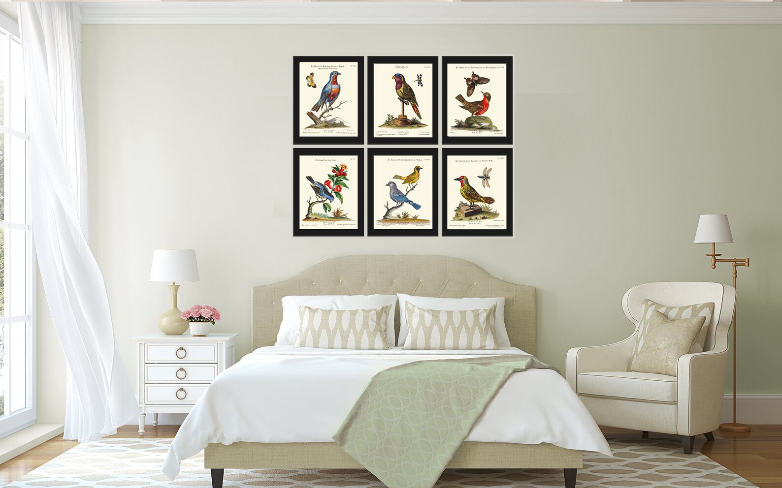 Beautiful Bird Wall Art Print Set of 6 Prints Antique Butterflies ...