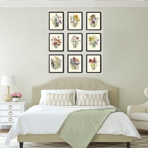 Wildflowers Botanical Wall Art Set of 9 Prints Beautiful Vintage ...