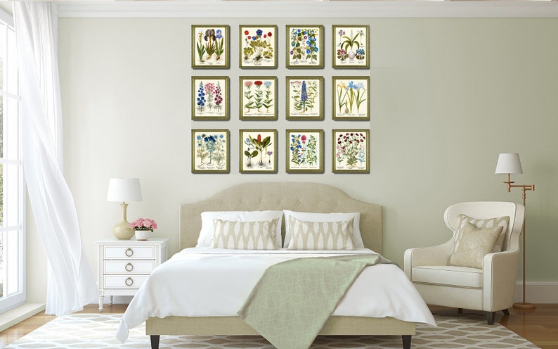 Botanical Wildflowers Prints Wall Art Set of 12 Beautiful Antique ...