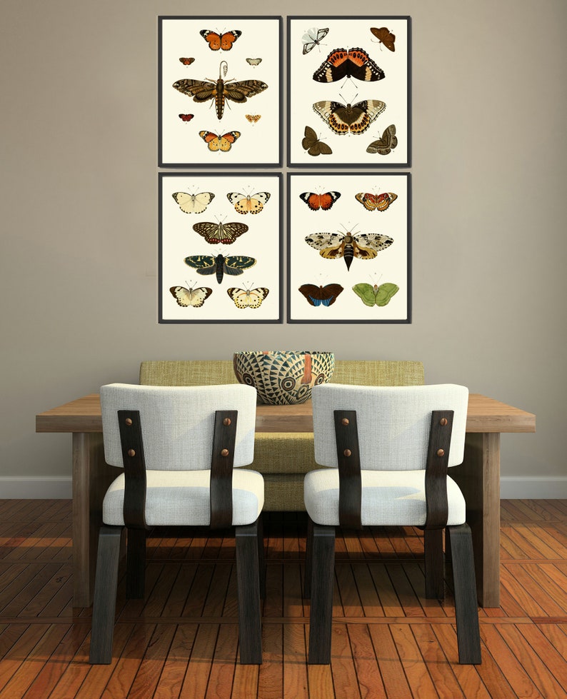 Vintage Butterfly Wall Art Print Set of 4 Antique Vintage Neutral Color ...