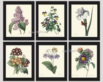 Purple Violet Lilac Iris Pansy Gloxinia Flowers Botanical Wall Art Set of 6 Prints Beautiful Vintage Spring Garden Home Decor to Frame REDT