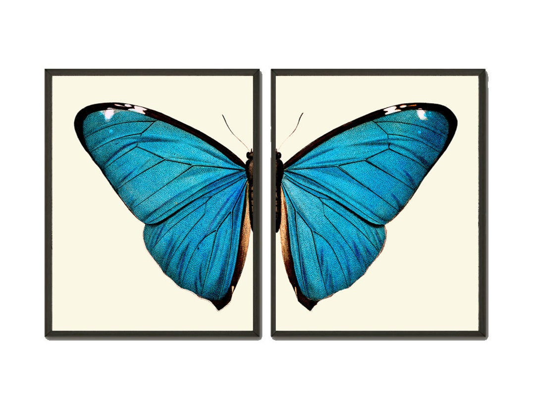 Blue Butterfly Wall Art Set of 2 Prints Beautiful Colorful Garden