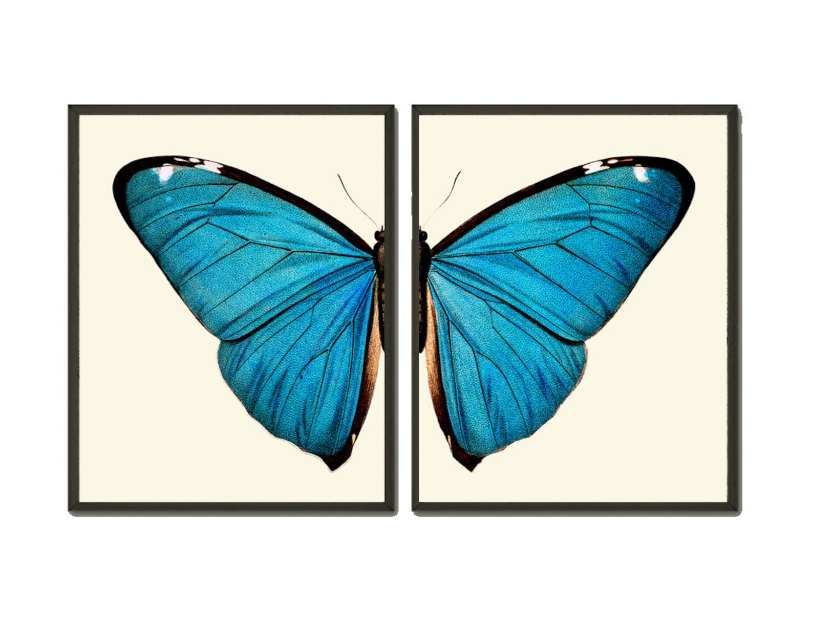 Blue Butterfly Wall Art Set of 2 Prints Beautiful Colorful Garden