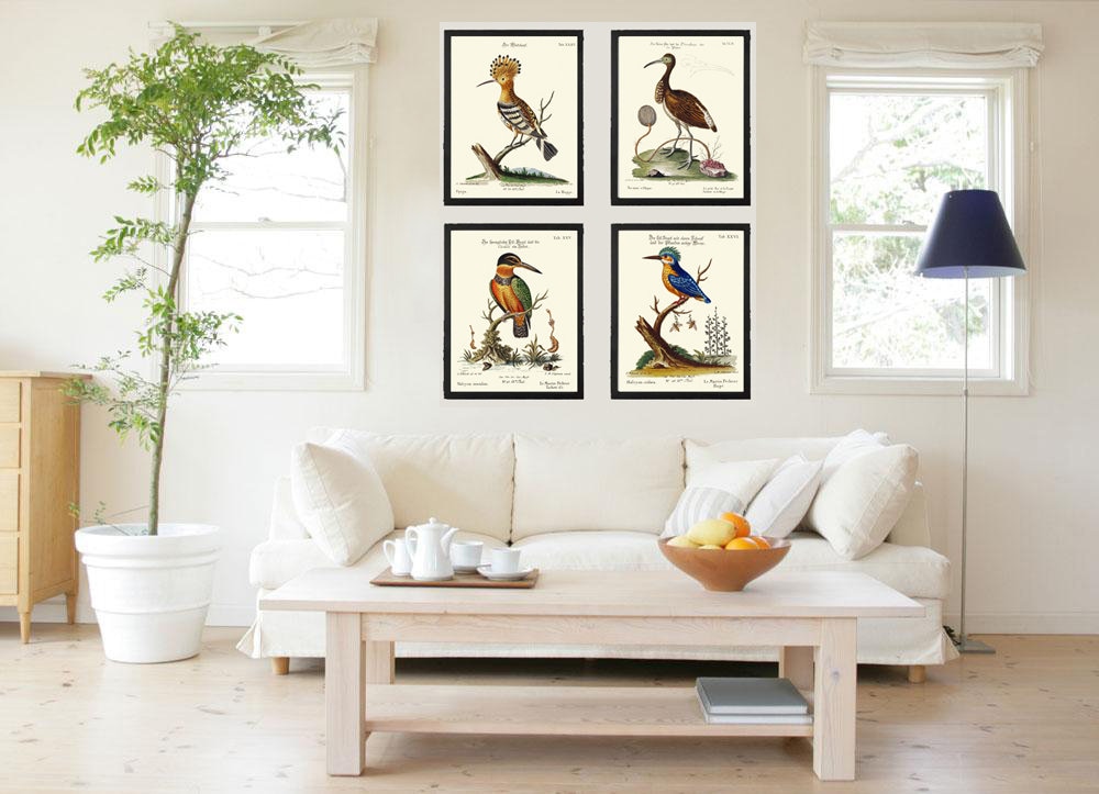 Vintage Birds Wall Art Prints Set of 4 Beautiful Bird Illustration Blue ...