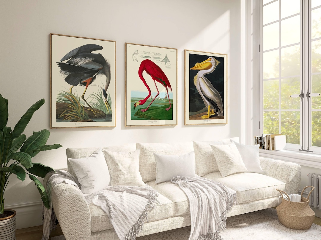 John James Audubon Wall Art Prints Set of 3 Classic Paintings Poster ...