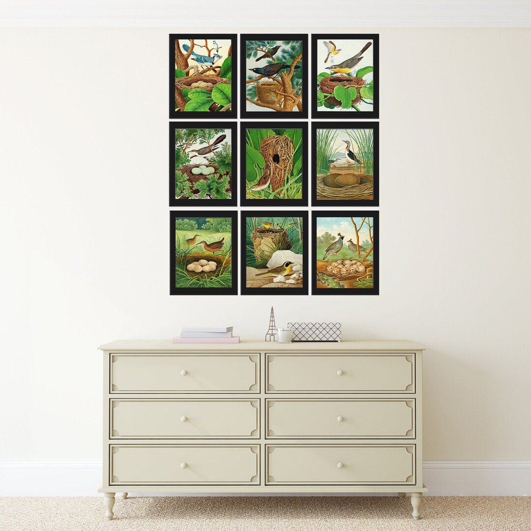 Vintage Birds Painting Wall Decor Art Print Set of 9 Beautiful Antique ...