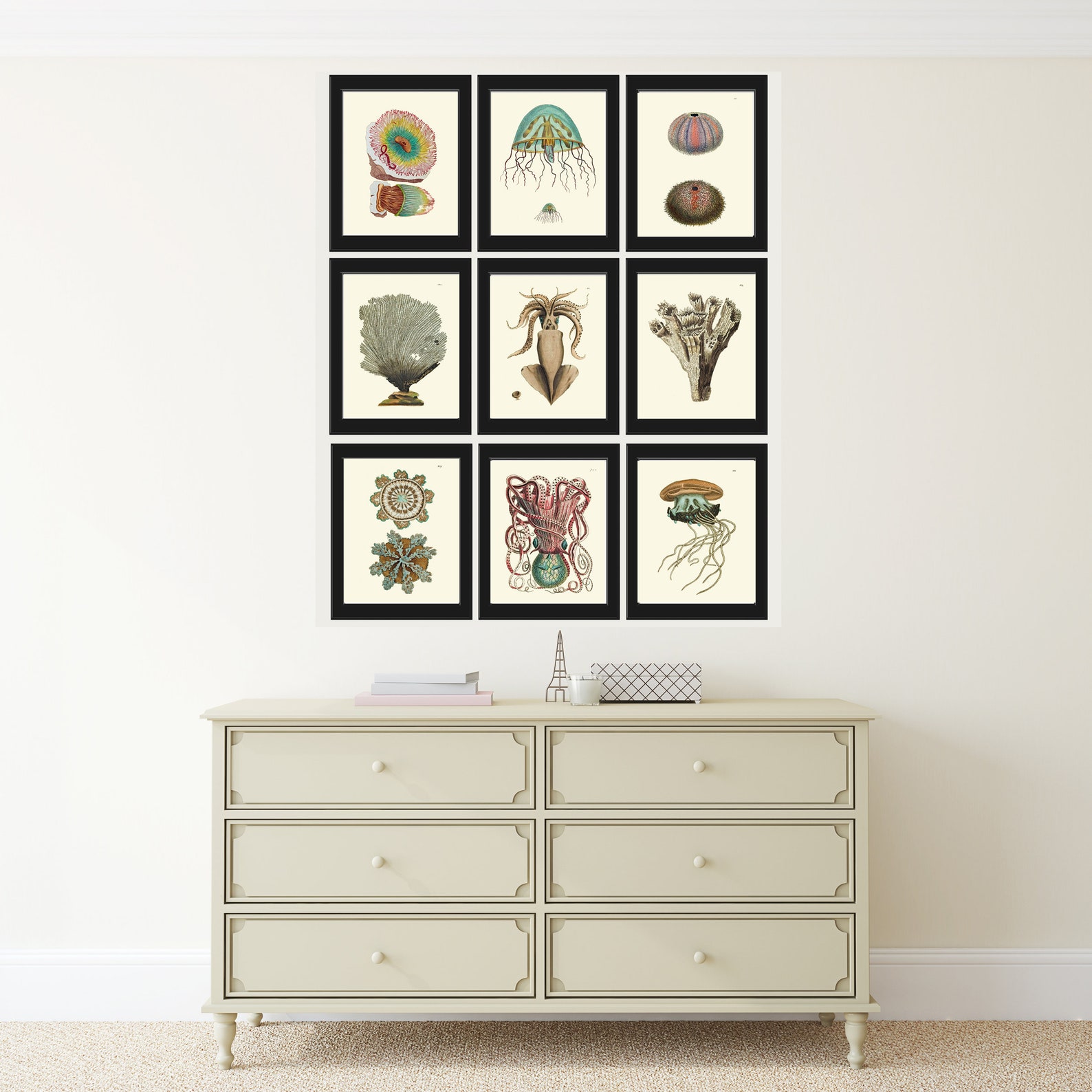 Corals Coral Prints Wall Decor Art Set of 9 Beautiful Antique - Etsy