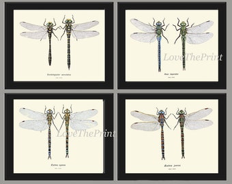Dragonfly Wall Art Set of 4 Prints Beautiful Antique Vintage Dragonflies Illustration Picture Decoration Home Room Decor Chart to Frame BRIT