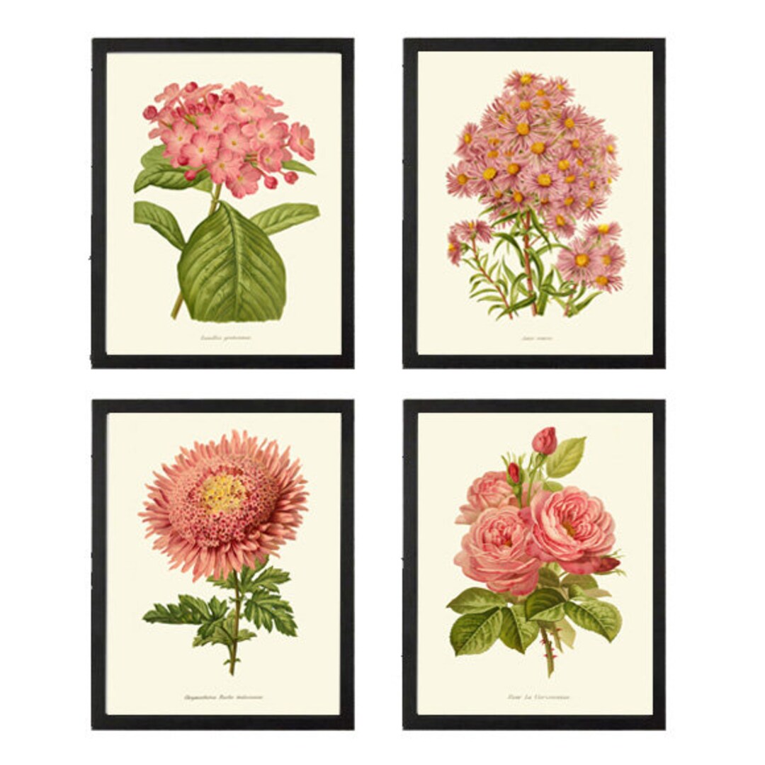 Vintage Pink Coral Botanical Prints Wall Art Set of 4 Beautiful Antique ...
