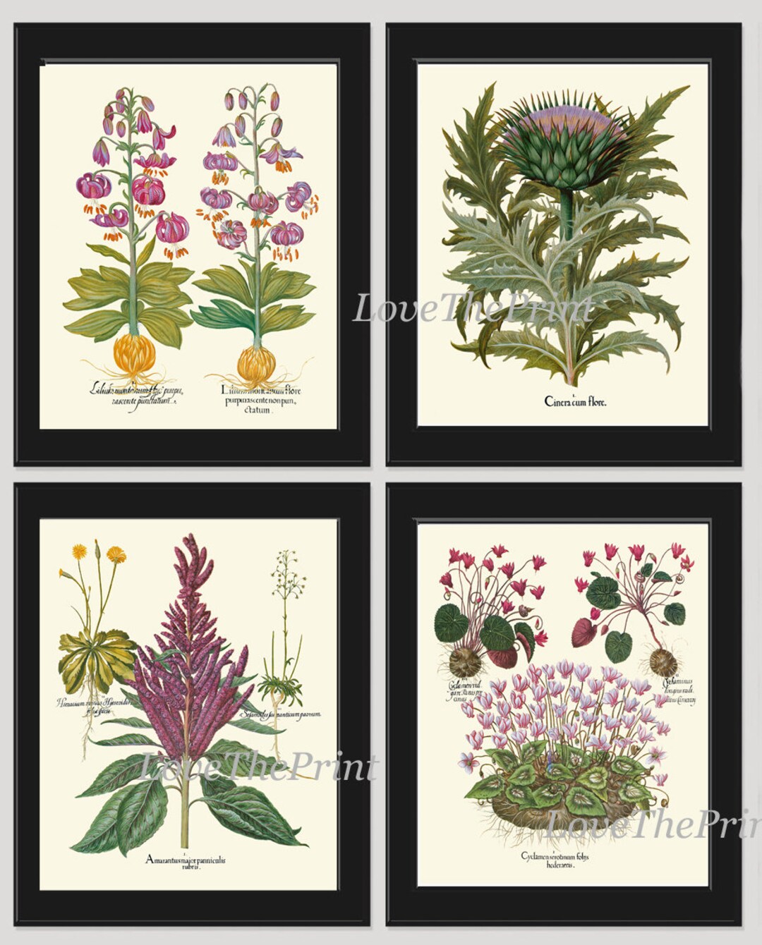 Botanical Prints Wall Art Decor Set of 4 Beautiful Antique Vintage ...
