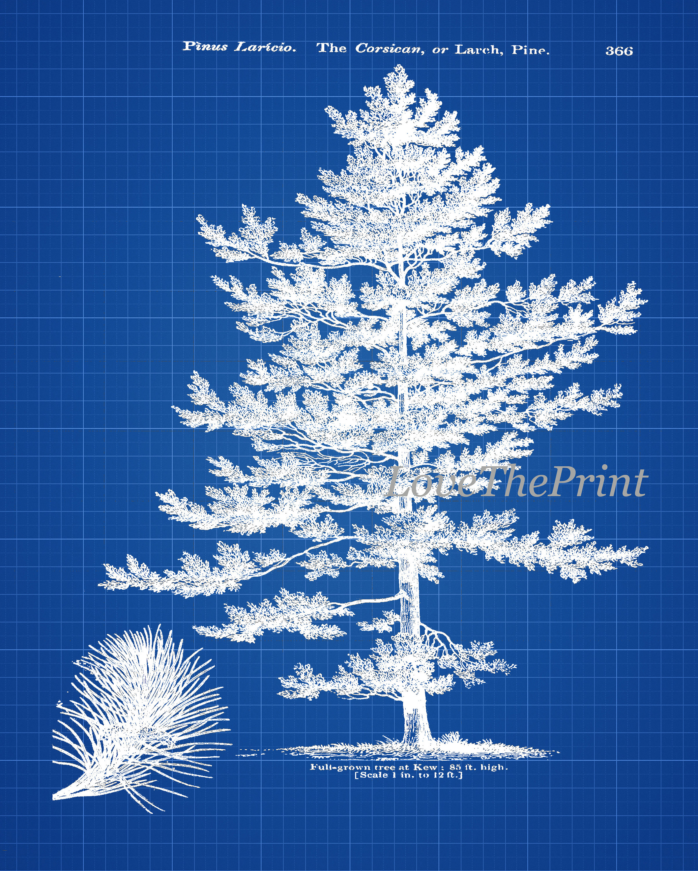 Tree Priint Pine Tree Wall Art Set of 4 Prints Beautiful Vintage Antique Blue ...