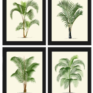 Vintage Palme Druck Tropische Botanische Wand Kunst Set von 4 Drucke Schöne Antike Strand Home Room Dekor Esszimmer Schlafzimmer zu Rahmen PTL