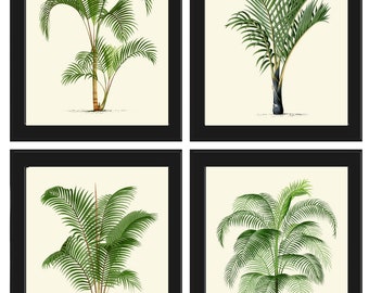 Vintage Palm Tree Print Tropical Botanical Wall Art Set of 4 Prints Beautiful Antique Beach Home Room Decor Dining Room Bedroom to Frame PTL