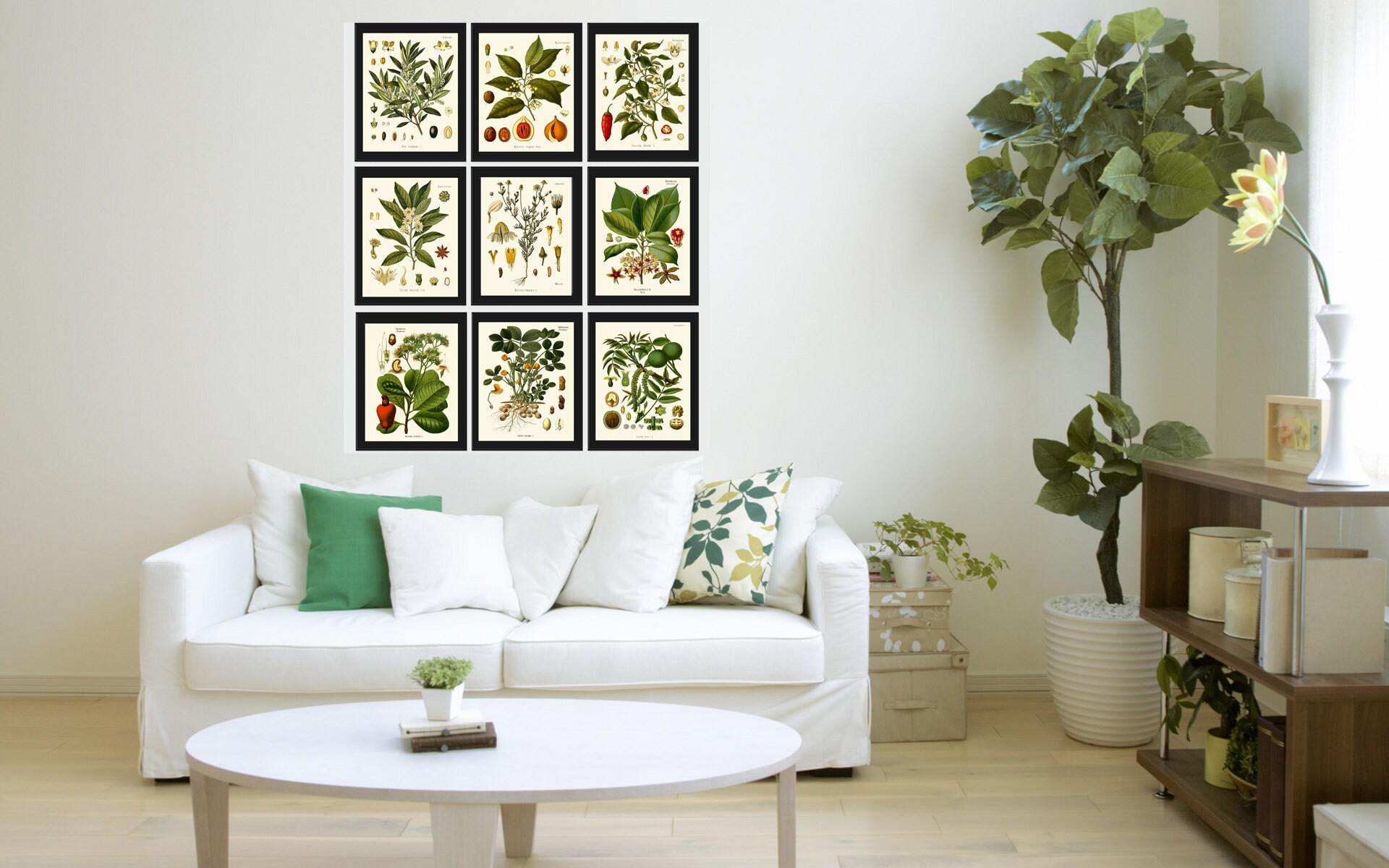 Herbs and Spices Print Set Botanical Wall Art of 9 Prints Beautiful ...