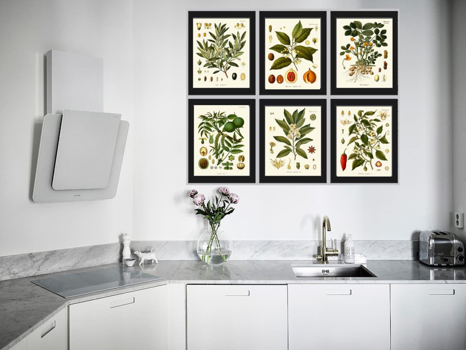 Herbs Spices Prints Wall Art Set of 6 Beautiful Botanical Kitchen ...