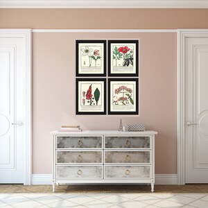 Vintage Botanical Wall Art Print Set of 4 Beautiful Antique Pink White ...