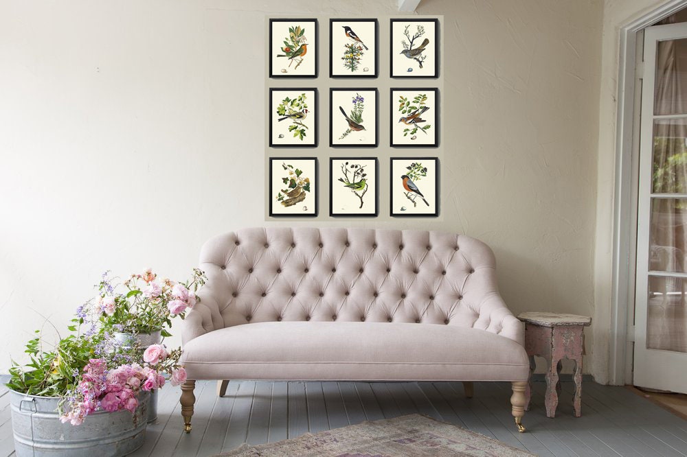 Bird Wall Decor Art Print Set of 9 Beautiful Antique Vintage Songbirds ...