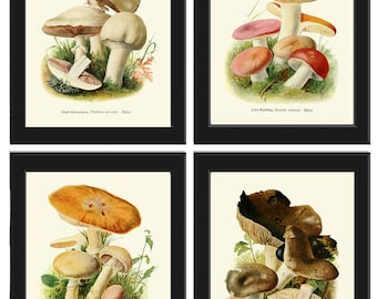 Mushrooms Botanical Home Decor Wall Art Set of 4 Prints Beautiful Colorful Forest Nature Cabin Rustic Farmhouse Kitchen Dining to Frame PDH