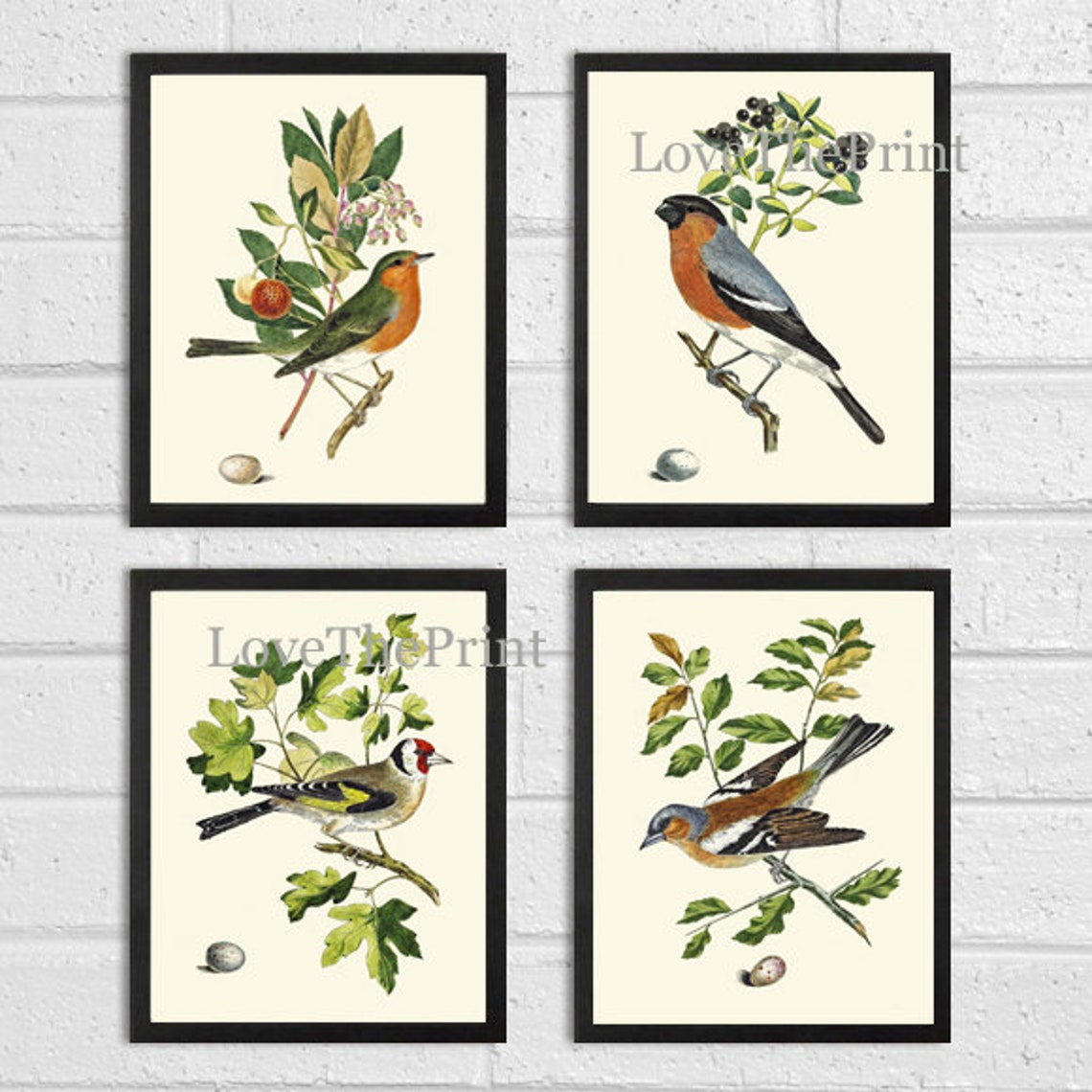 Vintage Bird Wall Art Print Set of 4 Beautiful Nature Bedroom Etsy