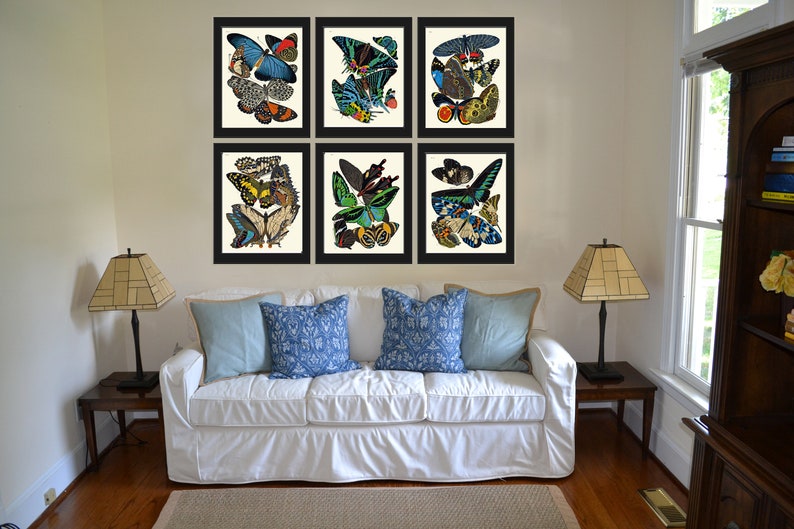 Butterflies Prints Wall Art Set of 6 Beautiful Antique Vintage Blue
