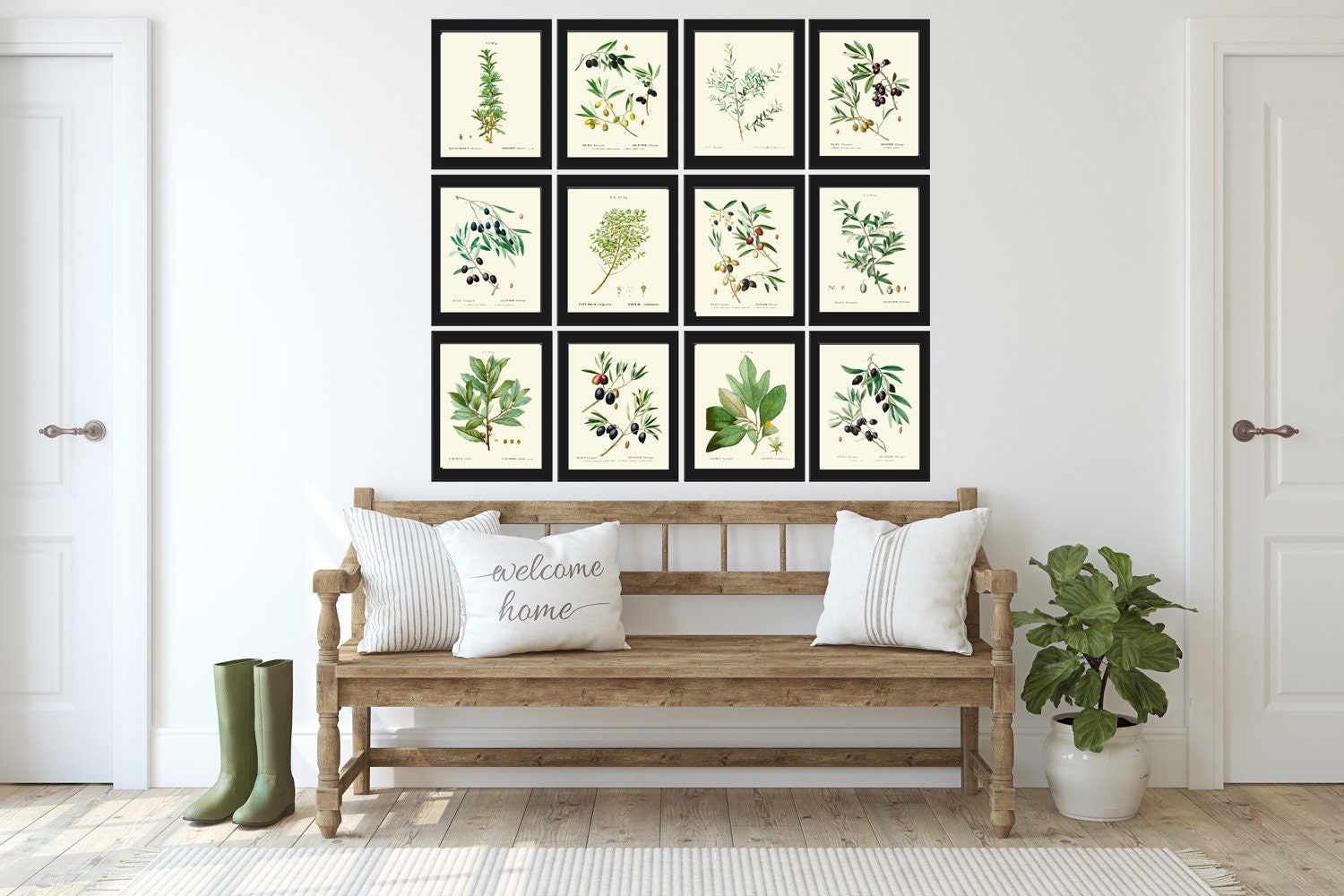 Herbs Botanical Wall Art Set of 12 Prints Beautiful Antique Vintage ...