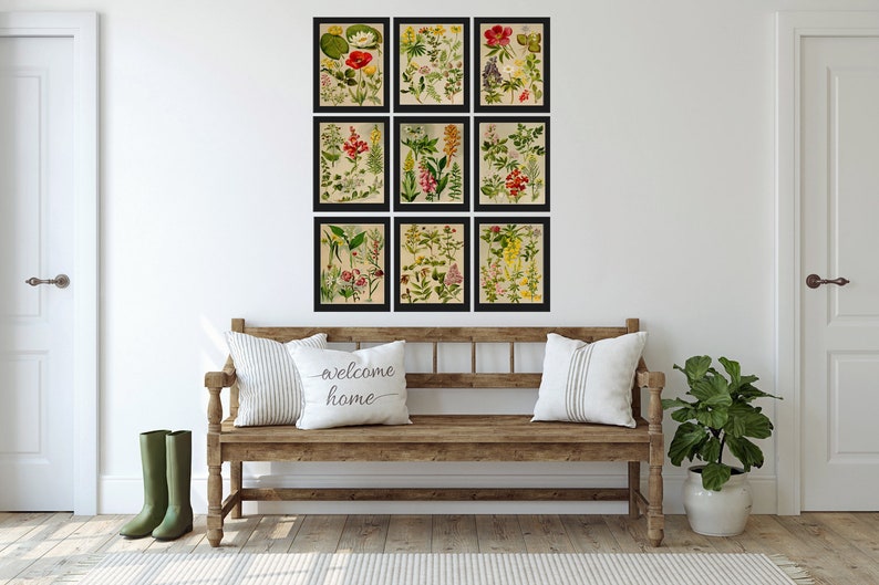 Wildflower Botanical Prints Wall Art Set of 9 Beautiful Antique Vintage