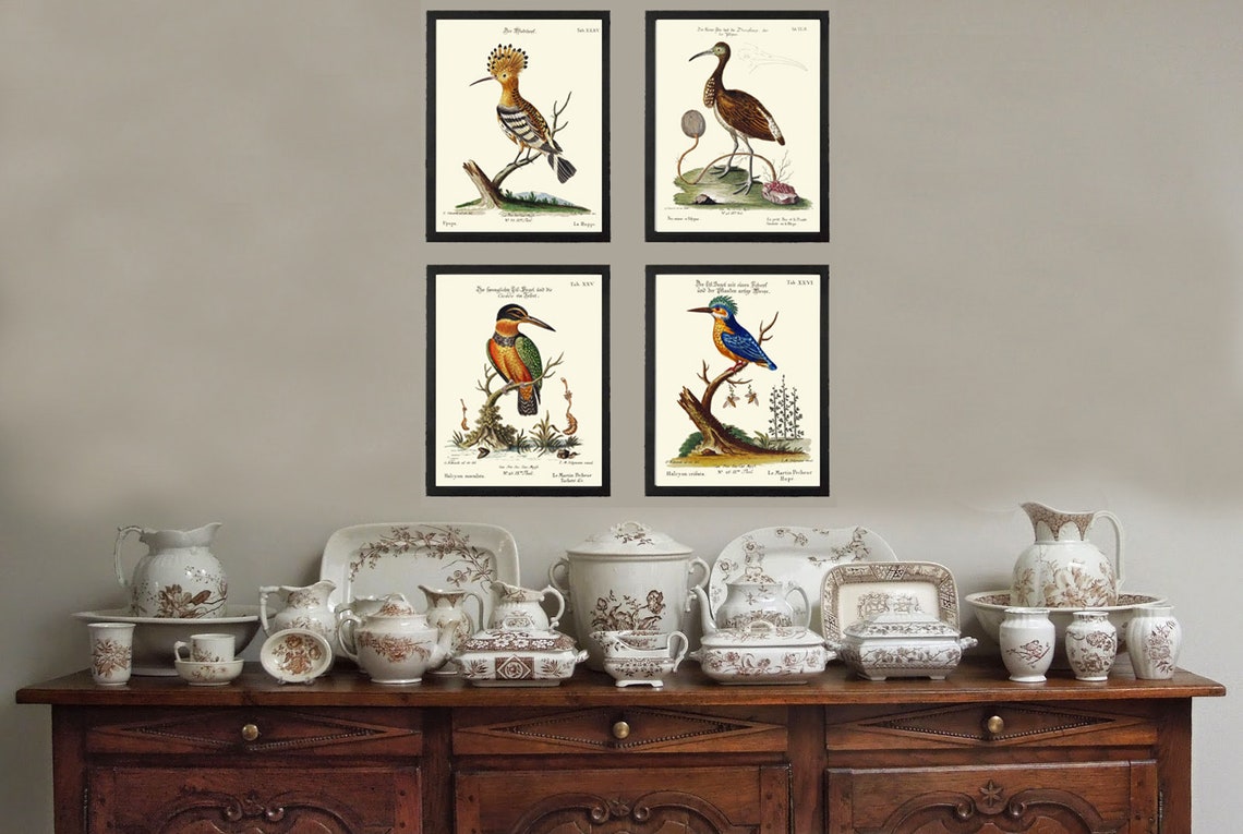 Vintage Birds Wall Art Prints Set of 4 Beautiful Bird - Etsy