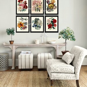 Botanical Wall Art Set of 6 Prints Beautiful Vintage Antique Red White ...