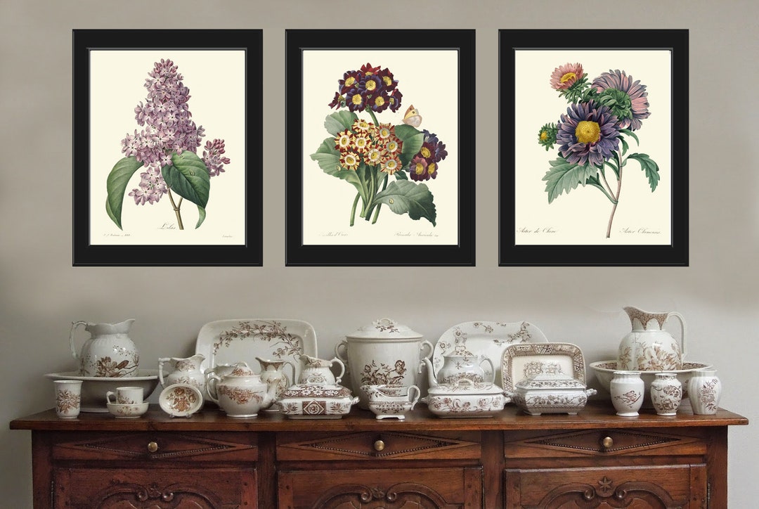 Purple Violet Lilac Aster Botanical Wall Art Set of 3 Prints Beautiful ...